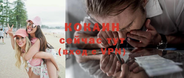 шишки Карталы