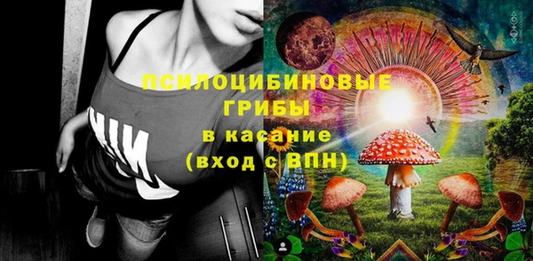 шишки Карталы