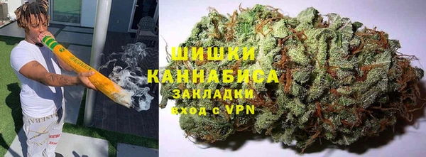 тгк Касимов
