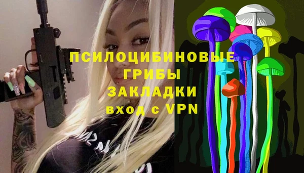 тгк Касимов