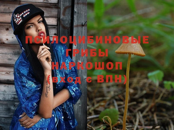 шишки Карталы