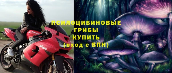 тгк Касимов