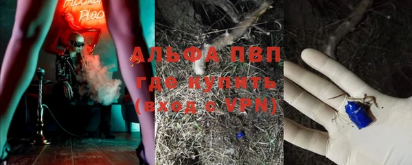 тгк Касимов