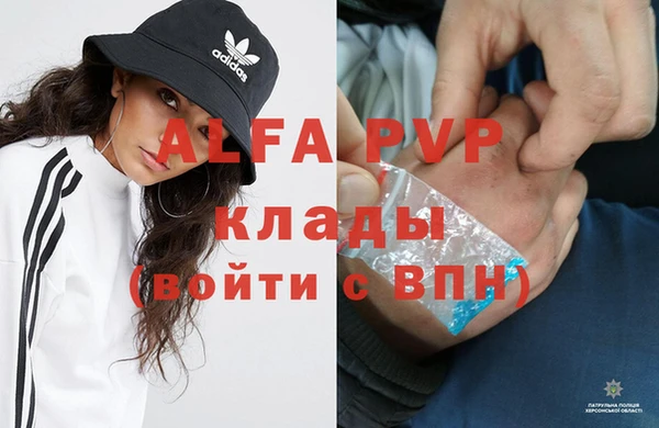 амф Карпинск