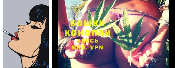 амф Карпинск