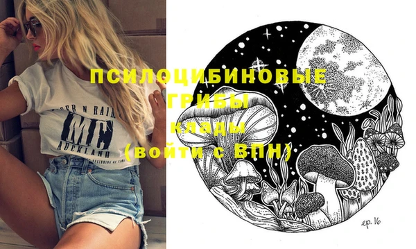 шишки Карталы